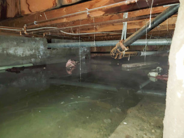 Best Sewage cleanup and water damage restoration  in Fair Haven, NJ