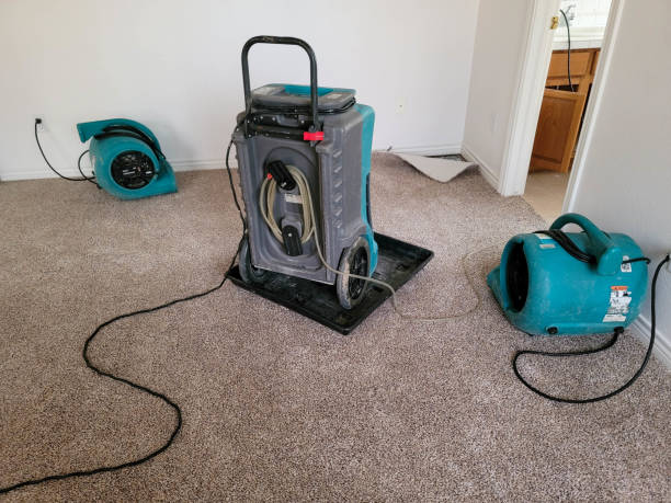 Best Professional water damage repair  in Fair Haven, NJ