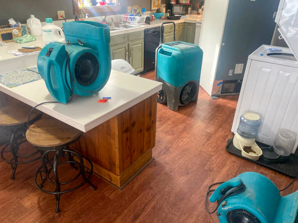 Best Local water damage restoration  in Fair Haven, NJ