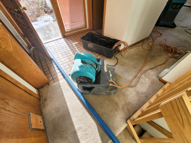 Best Carpet water damage restoration  in Fair Haven, NJ