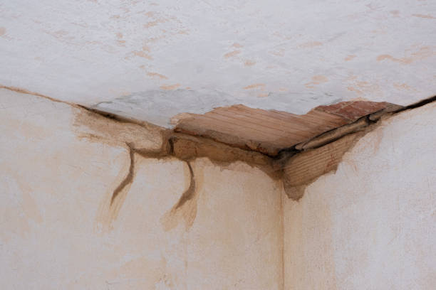 Best Ceiling water damage repair  in Fair Haven, NJ