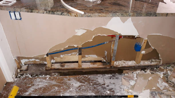 Best Basement water damage restoration  in Fair Haven, NJ